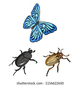 Different kinds of insects cartoon icons in set collection for design. Insect arthropod vector isometric symbol stock web illustration.