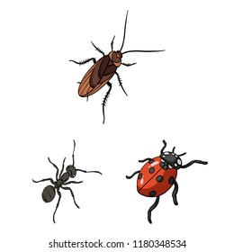 Different kinds of insects cartoon icons in set collection for design. Insect arthropod vector isometric symbol stock web illustration.