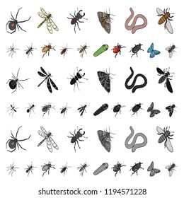 Different kinds of insects cartoon icons in set collection for design. Insect arthropod vector isometric symbol stock web illustration.