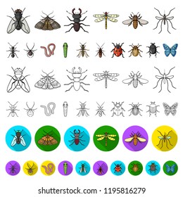 Different kinds of insects cartoon icons in set collection for design. Insect arthropod vector symbol stock web illustration.