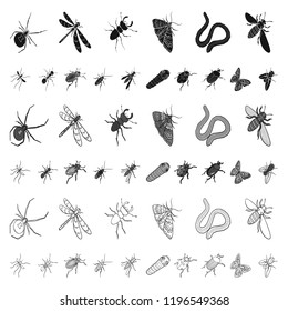 Different kinds of insects cartoon icons in set collection for design. Insect arthropod vector isometric symbol stock web illustration.