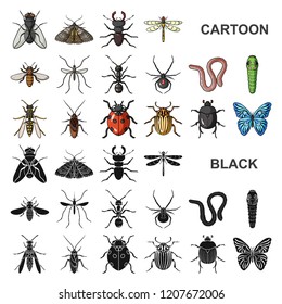 Different kinds of insects cartoon icons in set collection for design. Insect arthropod vector symbol stock web illustration.