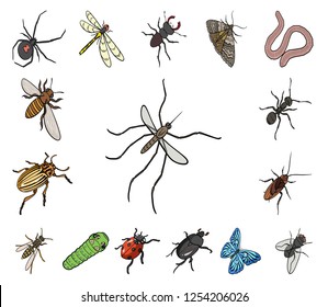 Different kinds of insects cartoon icons in set collection for design. Insect arthropod vector isometric symbol stock web illustration.