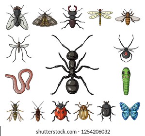 Different kinds of insects cartoon icons in set collection for design. Insect arthropod vector symbol stock web illustration.