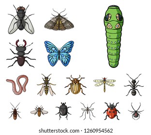 Different kinds of insects cartoon icons in set collection for design. Insect arthropod vector symbol stock web illustration.