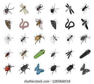 Different kinds of insects cartoon,black icons in set collection for design. Insect arthropod vector isometric symbol stock web illustration.