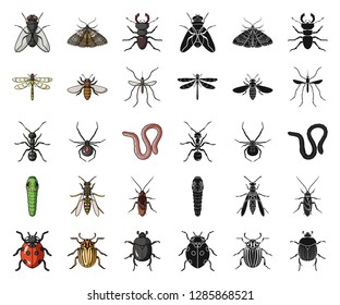 Different kinds of insects cartoon,black icons in set collection for design. Insect arthropod vector symbol stock web illustration.
