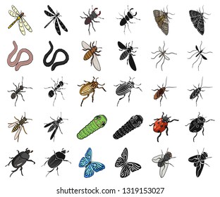 Different kinds of insects cartoon,black icons in set collection for design. Insect arthropod vector isometric symbol stock web illustration.