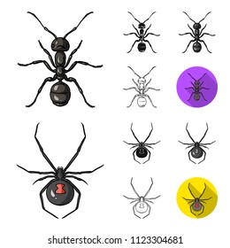 Different kinds of insects cartoon,black,flat,monochrome,outline icons in set collection for design. Insect arthropod vector symbol stock web illustration.