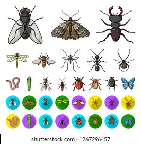 Different kinds of insects cartoon,flat icons in set collection for design. Insect arthropod vector symbol stock web illustration.