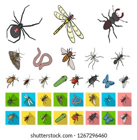 Different kinds of insects cartoon,flat icons in set collection for design. Insect arthropod vector isometric symbol stock web illustration.