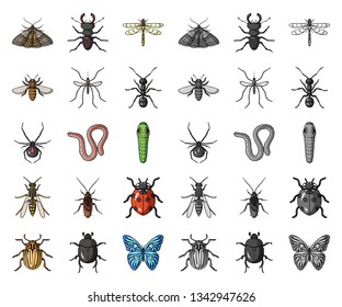 Different kinds of insects cartoon,mono icons in set collection for design. Insect arthropod vector symbol stock web illustration.