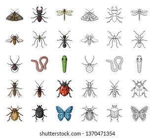 Different kinds of insects cartoon,outline icons in set collection for design. Insect arthropod vector symbol stock web illustration.