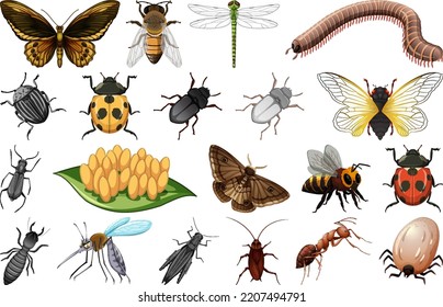 577 Cartoon mosquito clipart Images, Stock Photos & Vectors | Shutterstock