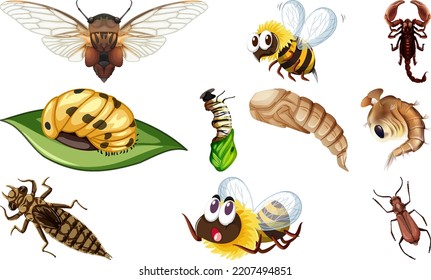 Different kinds of insects collection illustration