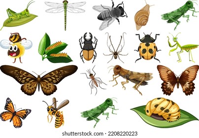 Different kinds of insects collection illustration