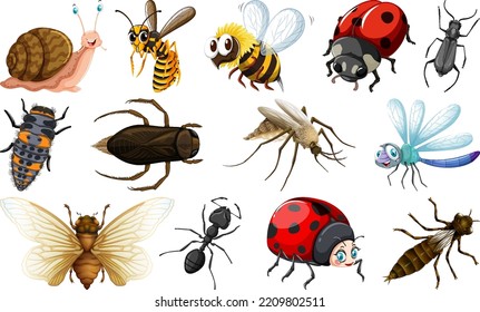 Different kinds of insects collection illustration