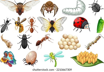 Different kinds of insects collection illustration