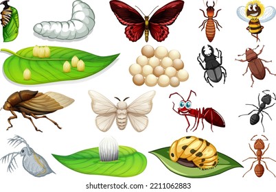 Different kinds of insects collection illustration