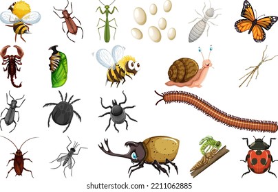 Different kinds of insects collection illustration