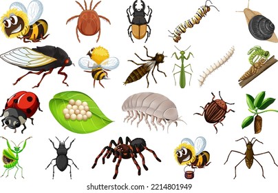 Different kinds of insects collection illustration