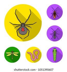 Different kinds of insects flat icons in set collection for design. Insect arthropod vector symbol stock web illustration.