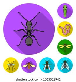 Different kinds of insects flat icons in set collection for design. Insect arthropod vector symbol stock web illustration.