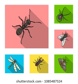 Different kinds of insects flat icons in set collection for design. Insect arthropod vector isometric symbol stock web illustration.