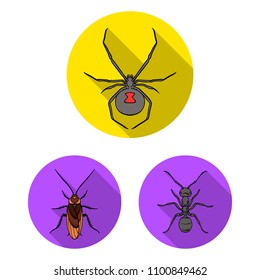 Different kinds of insects flat icons in set collection for design. Insect arthropod vector symbol stock web illustration.