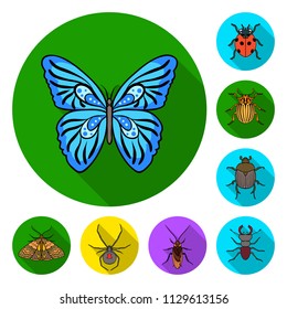 Different kinds of insects flat icons in set collection for design. Insect arthropod vector symbol stock web illustration.