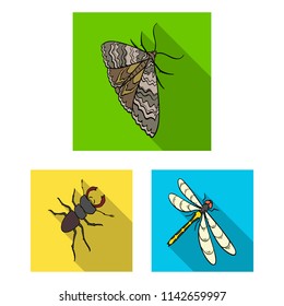 Different kinds of insects flat icons in set collection for design. Insect arthropod vector isometric symbol stock web illustration.