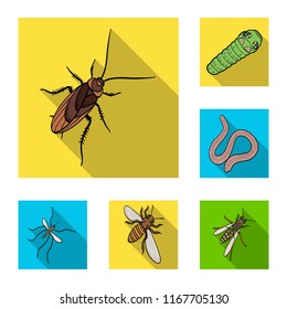 Different kinds of insects flat icons in set collection for design. Insect arthropod vector isometric symbol stock web illustration.