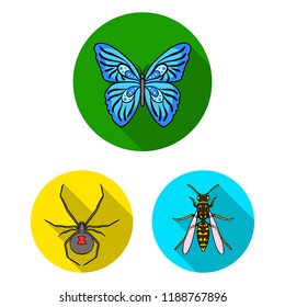 Different kinds of insects flat icons in set collection for design. Insect arthropod vector symbol stock web illustration.
