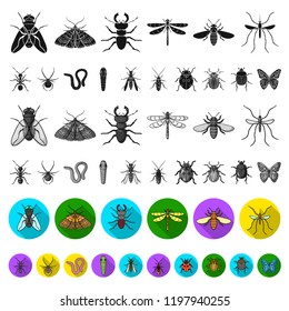 Different kinds of insects flat icons in set collection for design. Insect arthropod vector symbol stock web illustration.