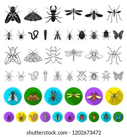 Different kinds of insects flat icons in set collection for design. Insect arthropod vector symbol stock web illustration.