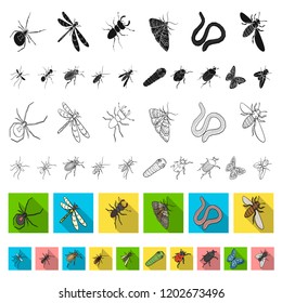 Different kinds of insects flat icons in set collection for design. Insect arthropod vector isometric symbol stock web illustration.