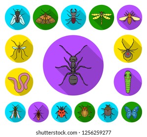 Different kinds of insects flat icons in set collection for design. Insect arthropod vector symbol stock web illustration.