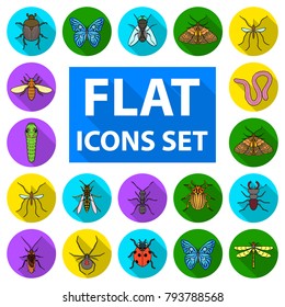 Different kinds of insects flat icons in set collection for design. Insect arthropod vector symbol stock web illustration.