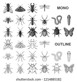 Different kinds of insects monochrom icons in set collection for design. Insect arthropod vector symbol stock web illustration.