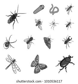 Different kinds of insects monochrome icons in set collection for design. Insect arthropod vector isometric symbol stock web illustration.