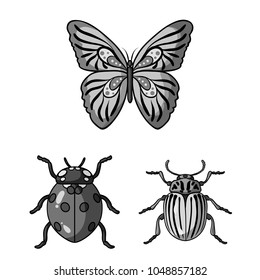 Different kinds of insects monochrome icons in set collection for design. Insect arthropod vector symbol stock web illustration.