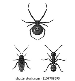 Different kinds of insects monochrome icons in set collection for design. Insect arthropod vector symbol stock web illustration.
