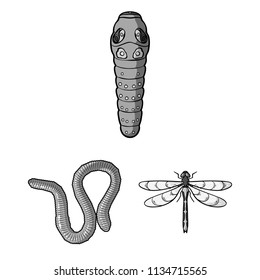 Different kinds of insects monochrome icons in set collection for design. Insect arthropod vector symbol stock web illustration.