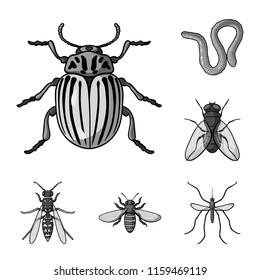 Different kinds of insects monochrome icons in set collection for design. Insect arthropod vector symbol stock web illustration.