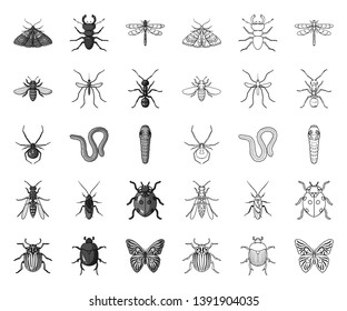 Different kinds of insects mono,outline icons in set collection for design. Insect arthropod vector symbol stock web illustration.