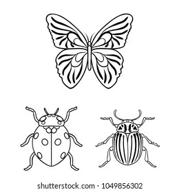 Different kinds of insects outline icons in set collection for design. Insect arthropod vector symbol stock web illustration.