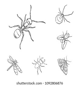 Different kinds of insects outline icons in set collection for design. Insect arthropod vector isometric symbol stock web illustration.