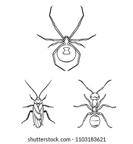 Different kinds of insects outline icons in set collection for design. Insect arthropod vector symbol stock web illustration.