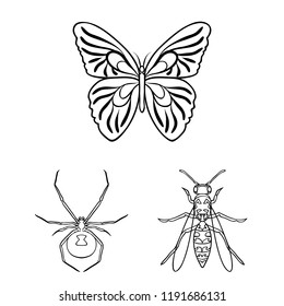 Different kinds of insects outline icons in set collection for design. Insect arthropod vector symbol stock web illustration.