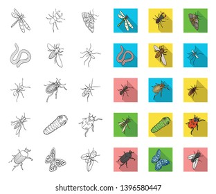 Different kinds  insects outline,flat icons in set collection  design. Insect arthropod vector isometric symbol stock web illustration.